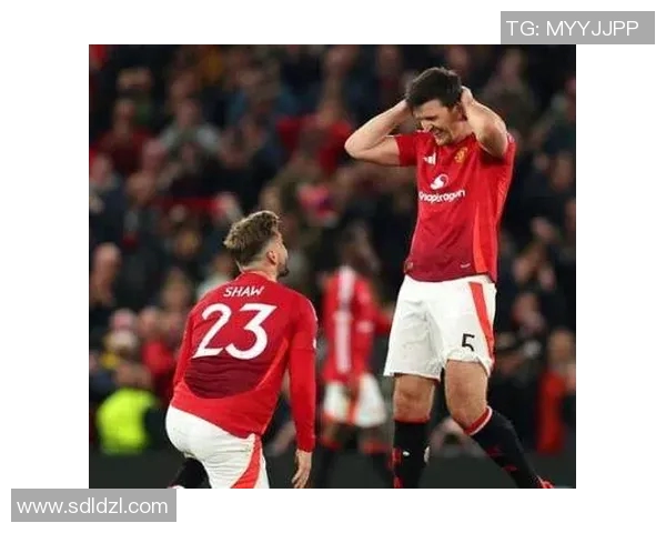 利物浦与热刺激战正酣谁能在英超赛场笑到最后